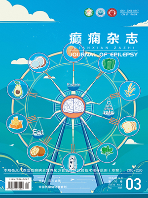Journal of Epilepsy